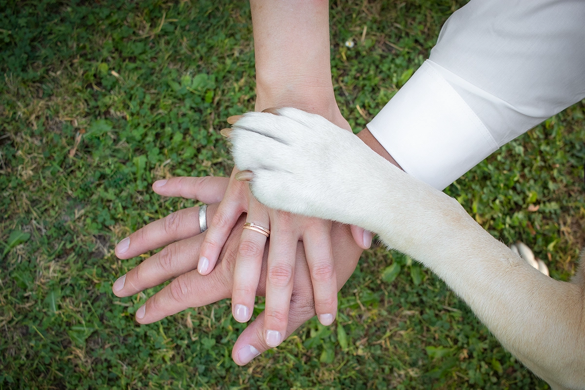 Hochzeit mit Hund