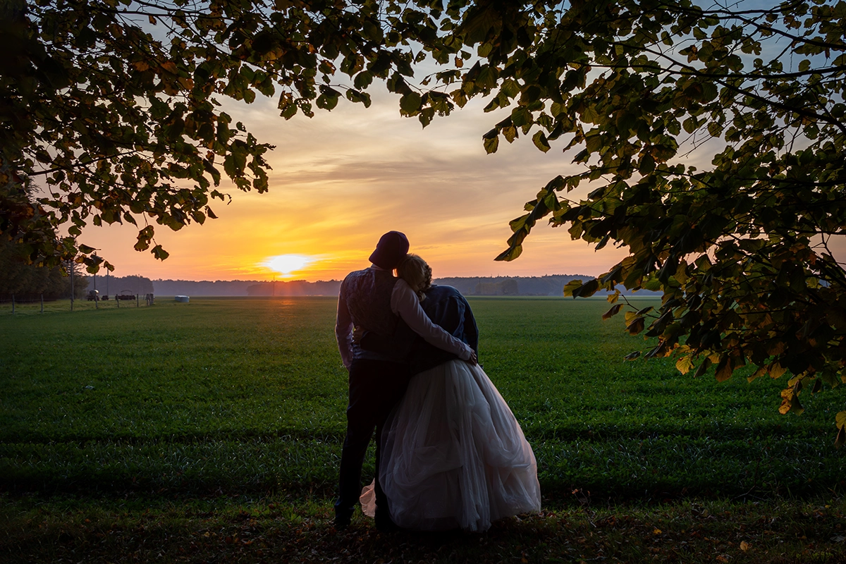 Goldstunde im Feld